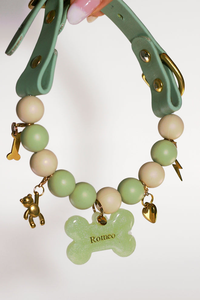 Collar de paseo Verde y Marrón Romeo, en la mano