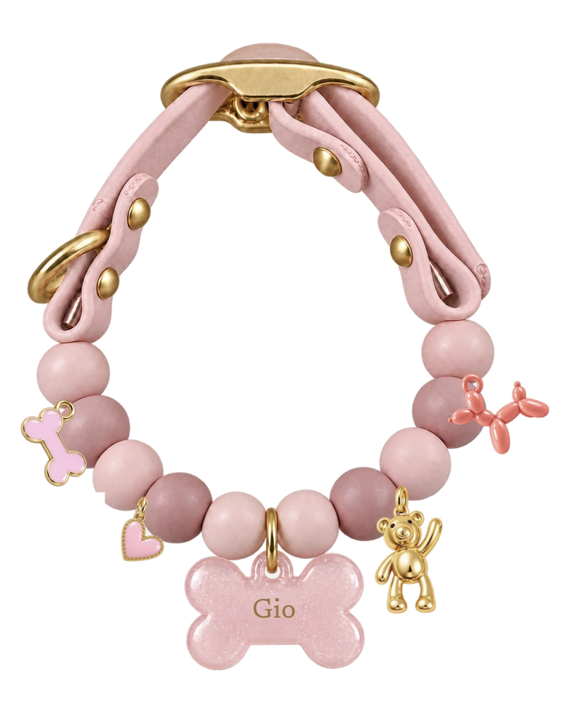 Personalisiertes Romeo &Co-Halsband für unterwegs