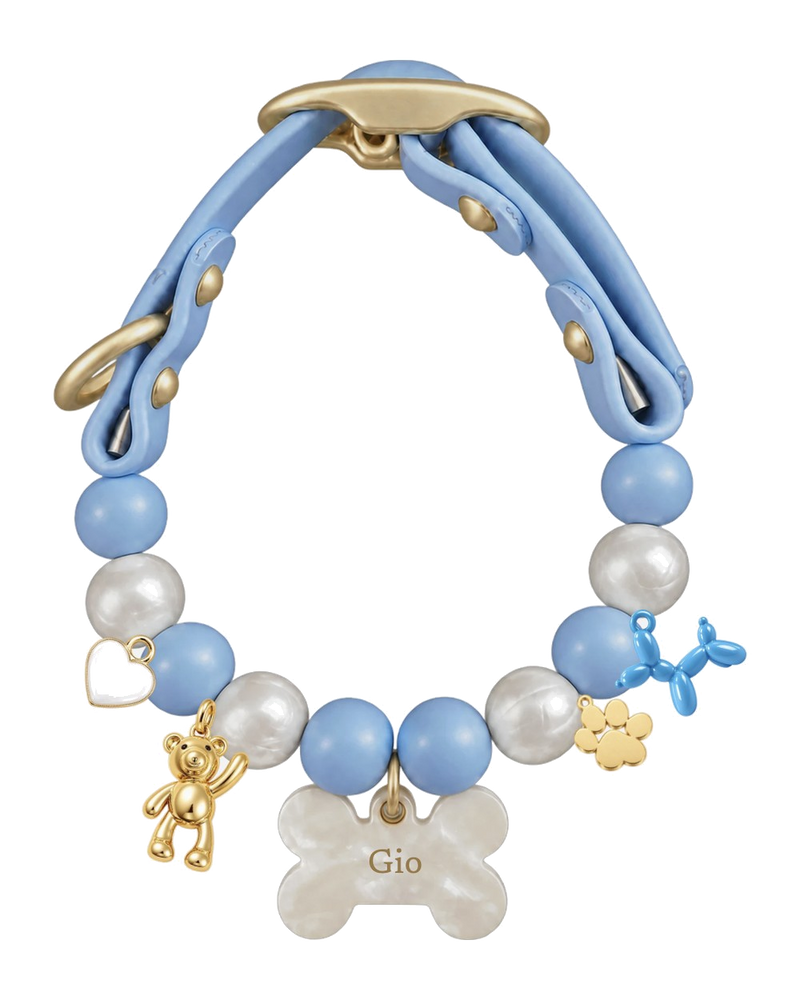 Personalisiertes Romeo &Co-Halsband für unterwegs