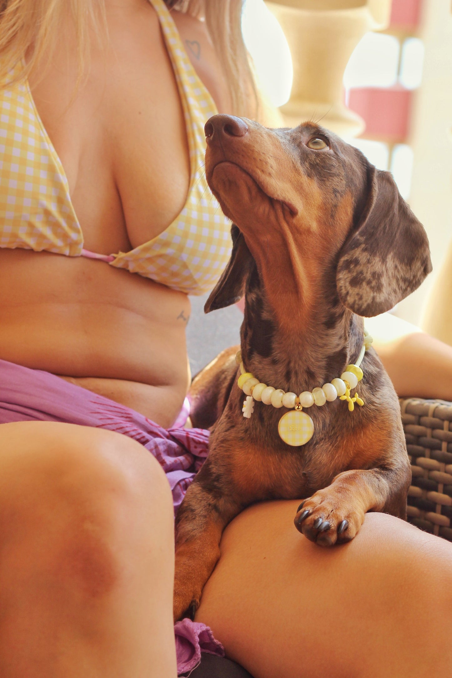 Collar Vichy Amarillo