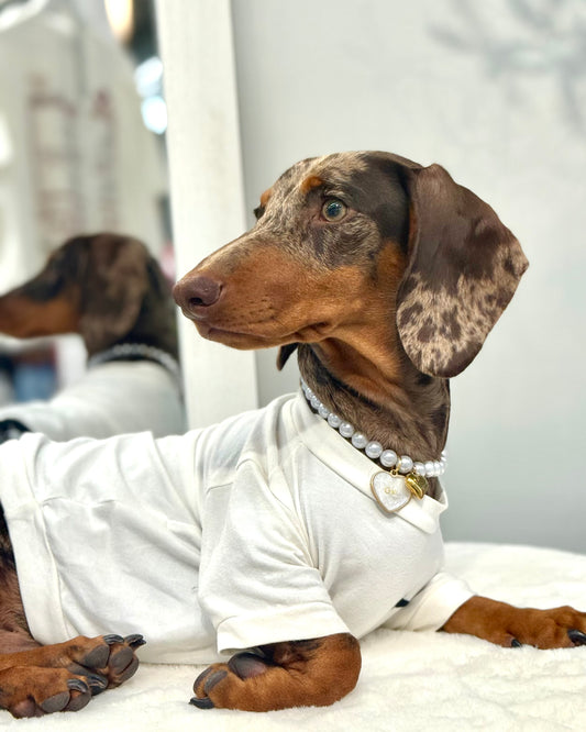 Collar PERLA perrito