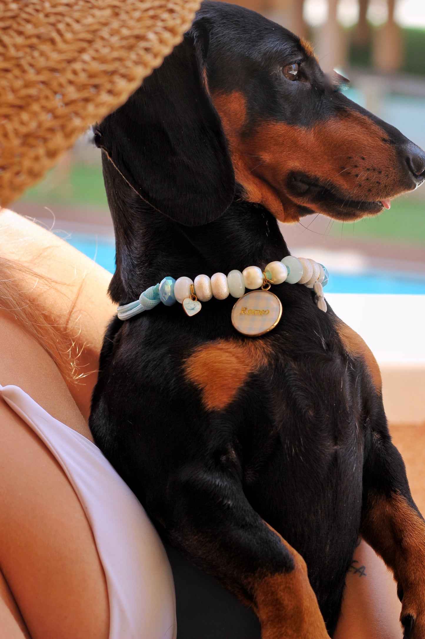 Collar Vichy Azul