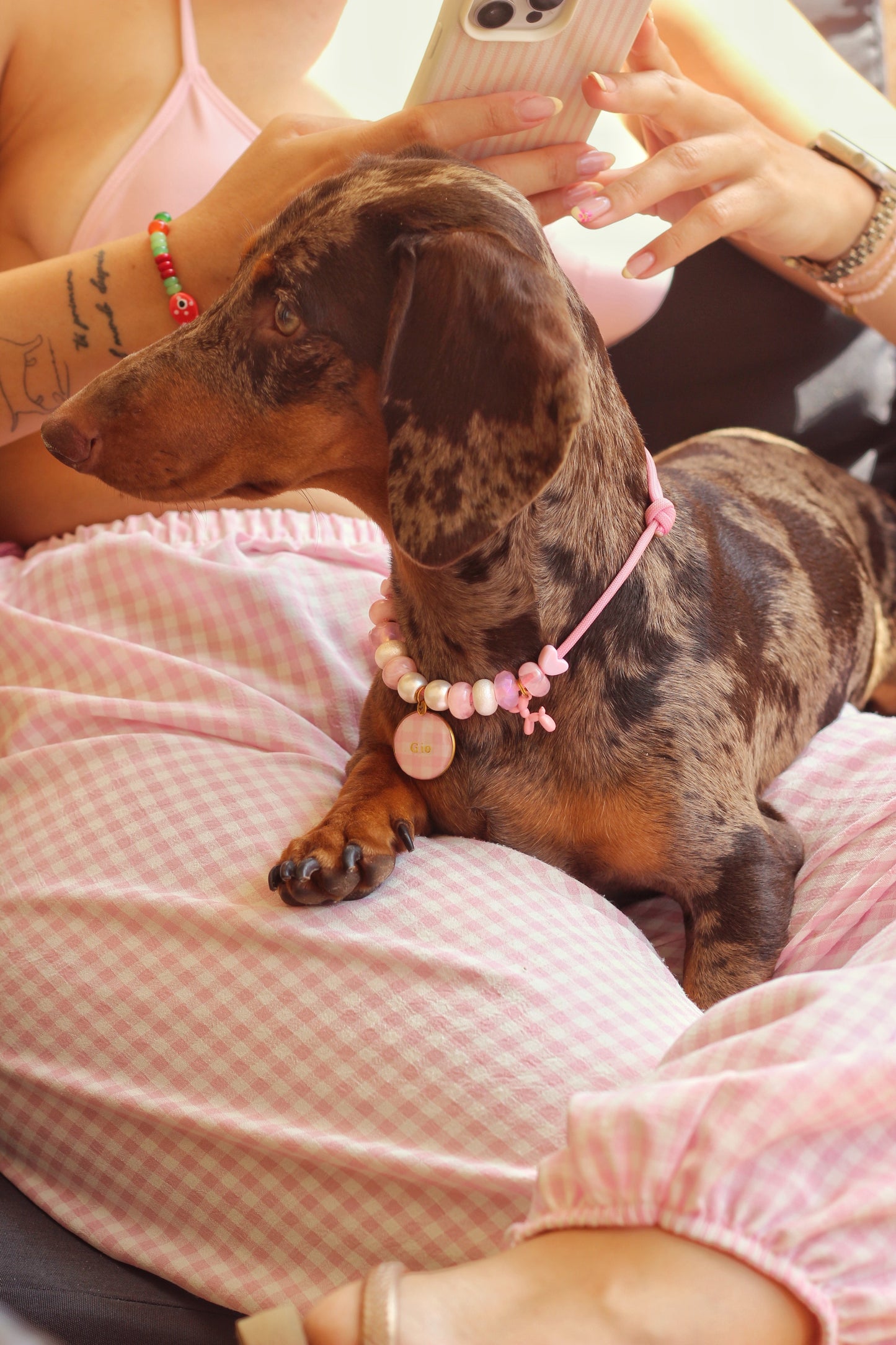 Collar Vichy Rosa