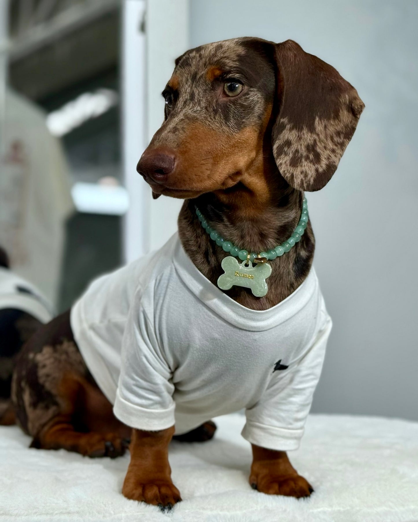 Collar JADE