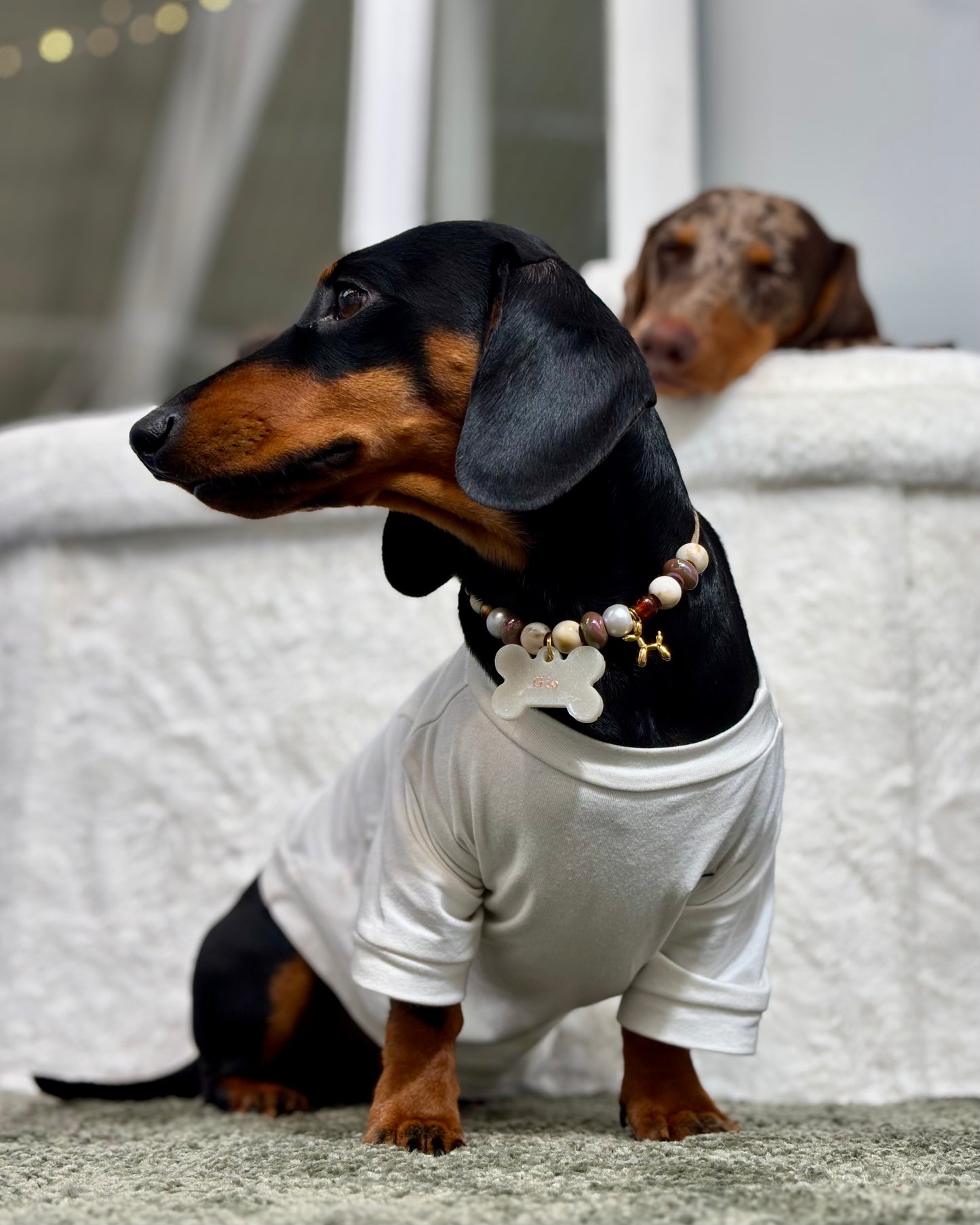 Collar CANELA