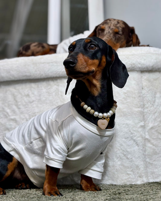 Collar para perro Alma, hecho a mano en España — Romeo &Co