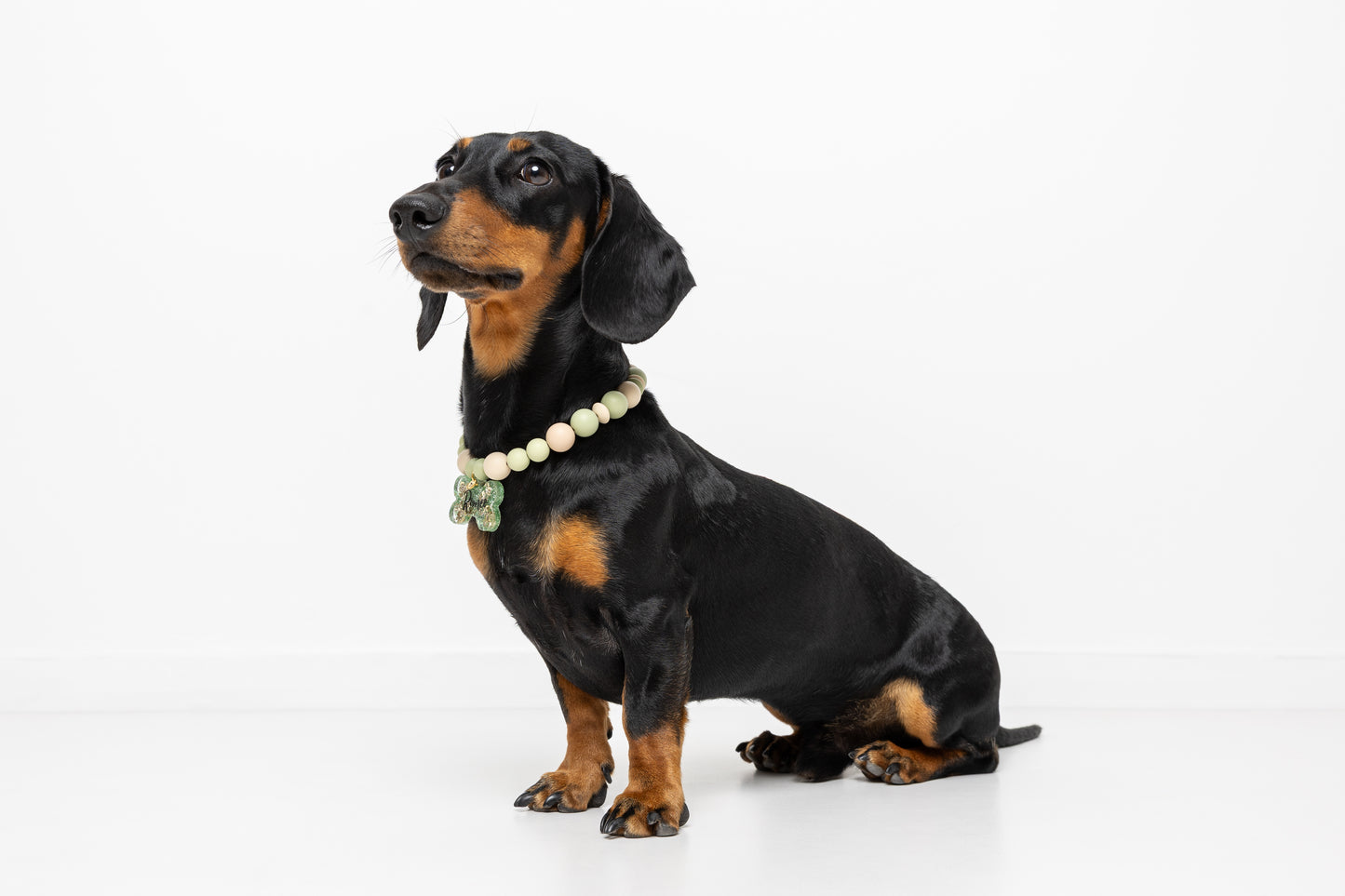 Collar Verde y Marrón ROMEO