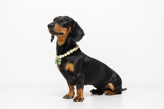 Collar Verde y Marrón ROMEO