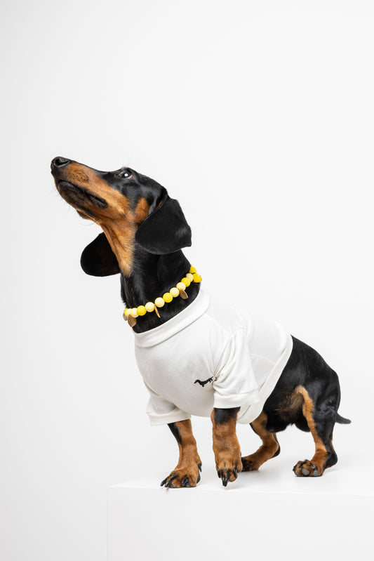 Camiseta Romeo &Co para perrito bordada