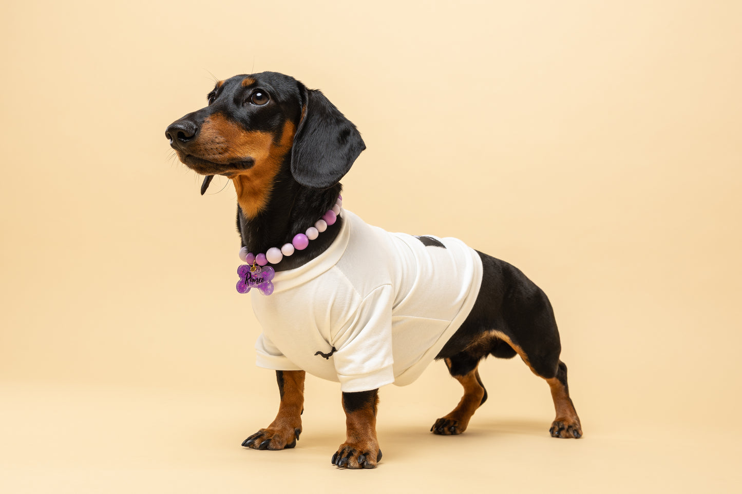 Camiseta para perrito bordada