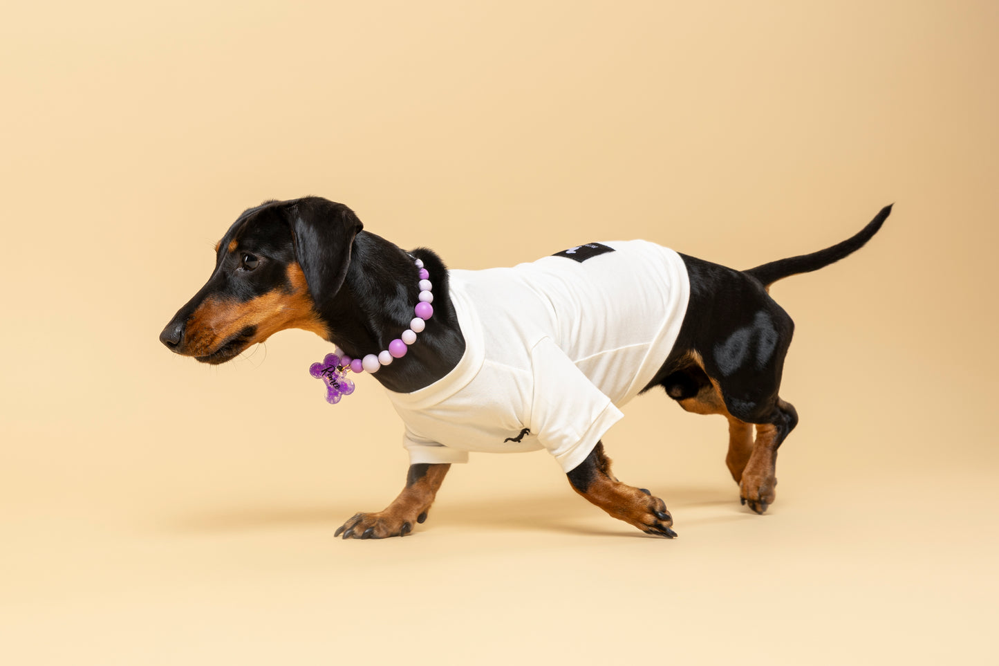 Joya identificativa LAVANDA