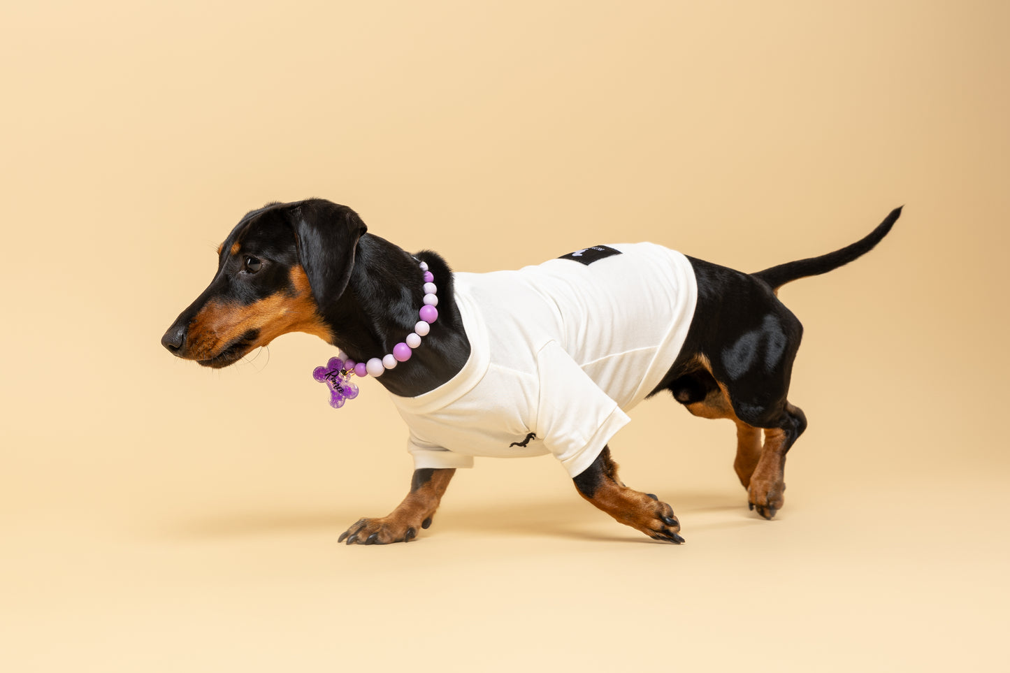 Camiseta para perrito bordada