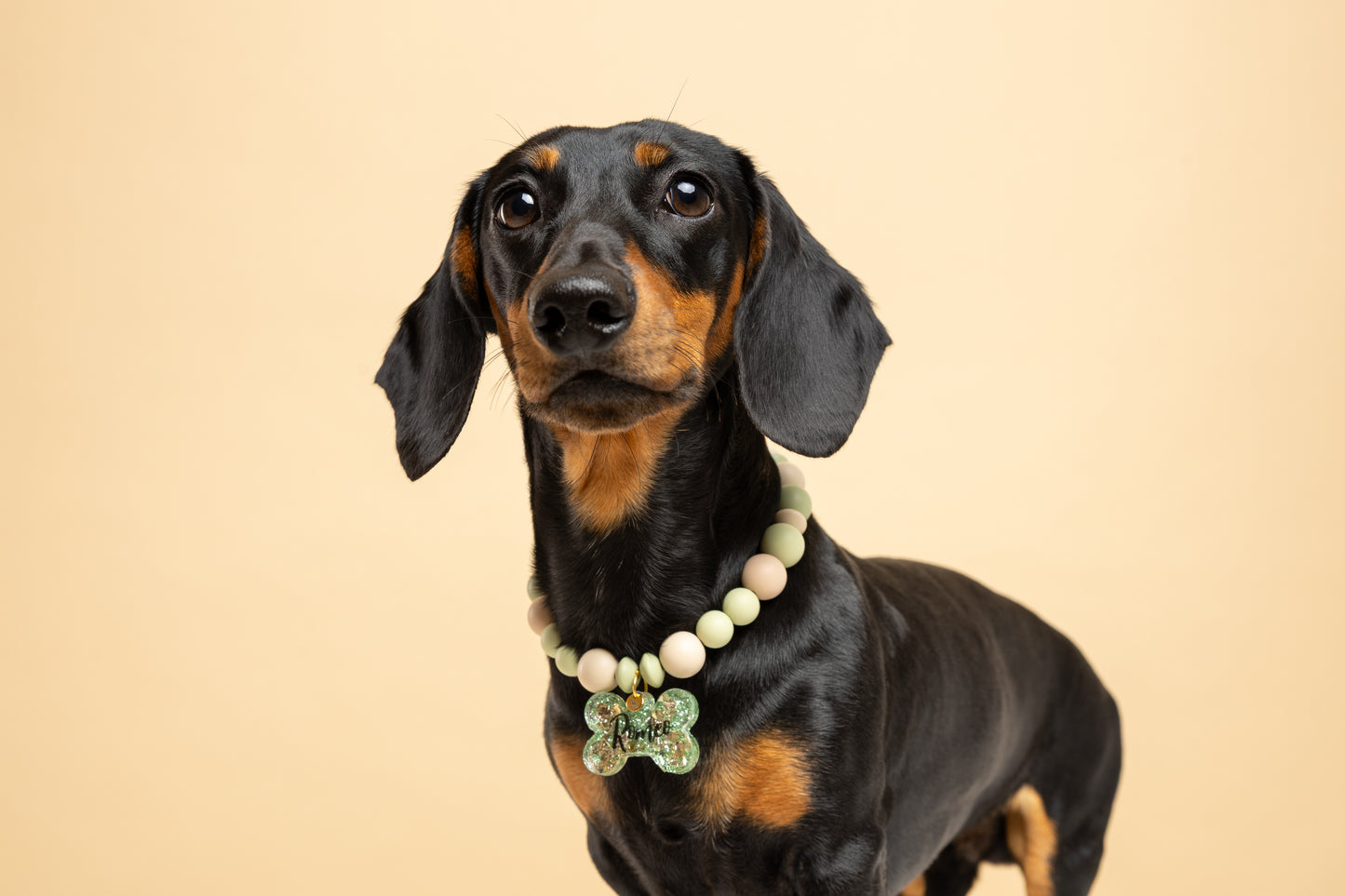 Collar Verde y Marrón ROMEO