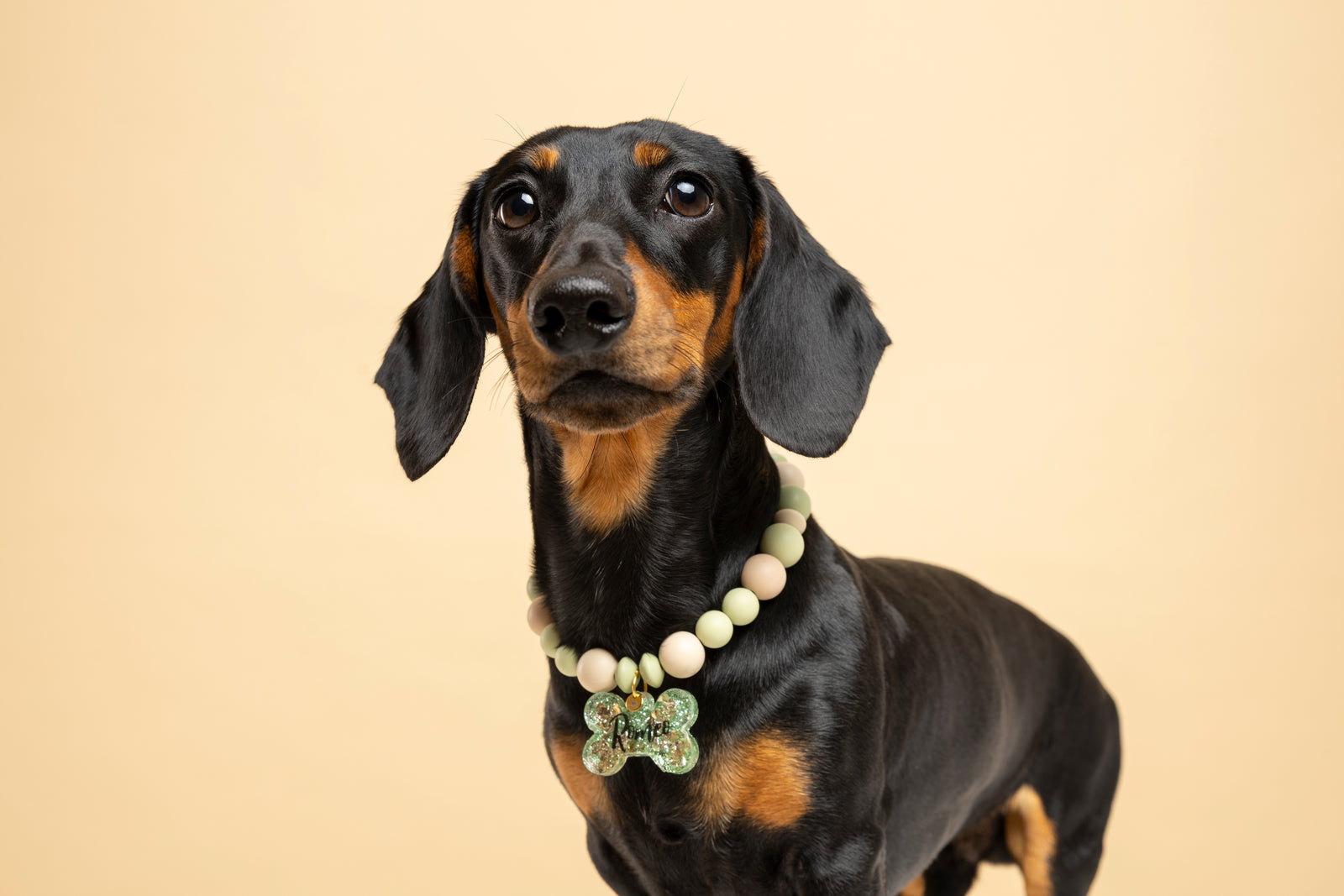 Romeo 9-7-2025-8.jpg