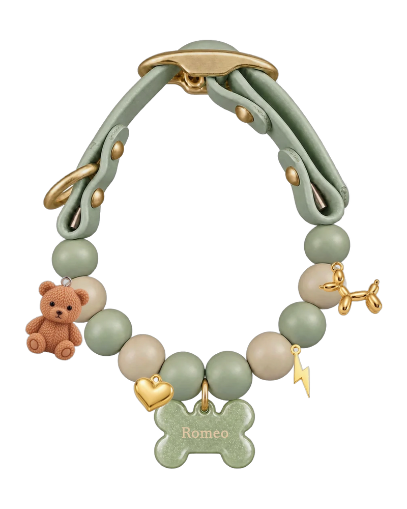 Grünes und braunes Spazierhalsband mit graviertem Knochenanhänger, Bär, Ballon, Herz und Blitz